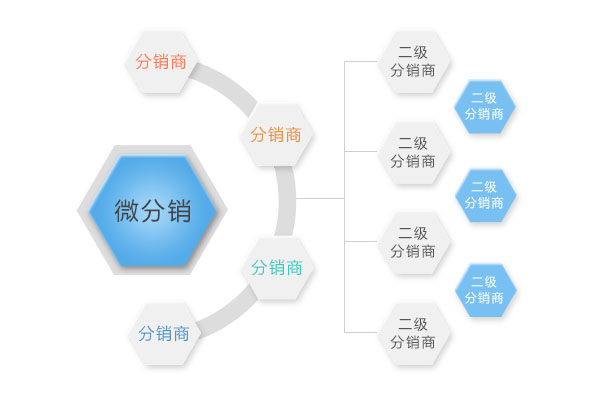 微分销系统开发